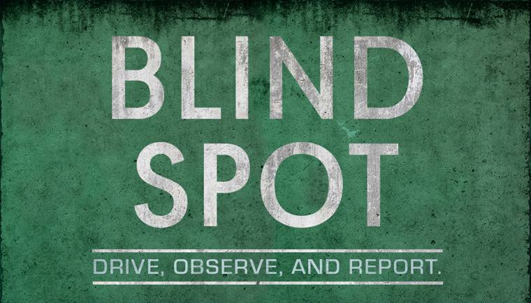 Blind Spot key art